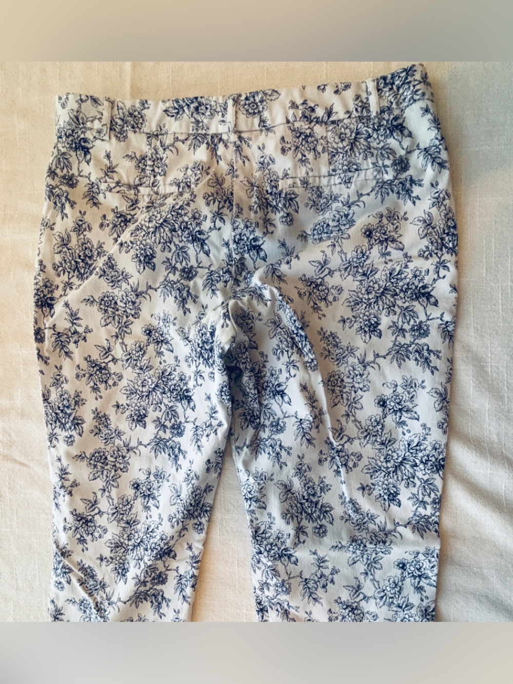 Mario Serrano Floral Blue & White Cropped Pants Women’s Size 12 - Picture 8 of 9